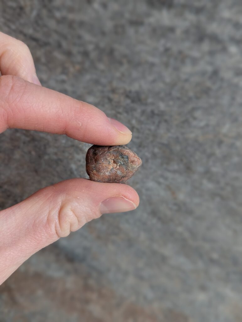 pxl 20260109 190927934.portrait pxl 20260109 190927934.portrait