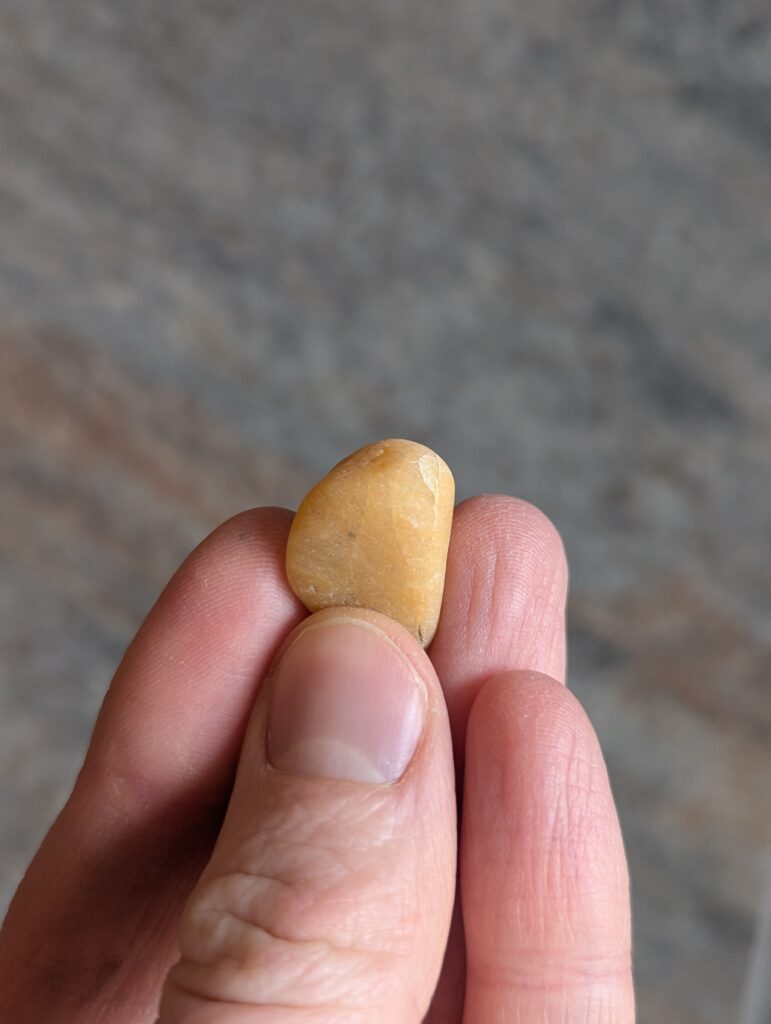 Home pxl 20260109 191141349.portrait.original