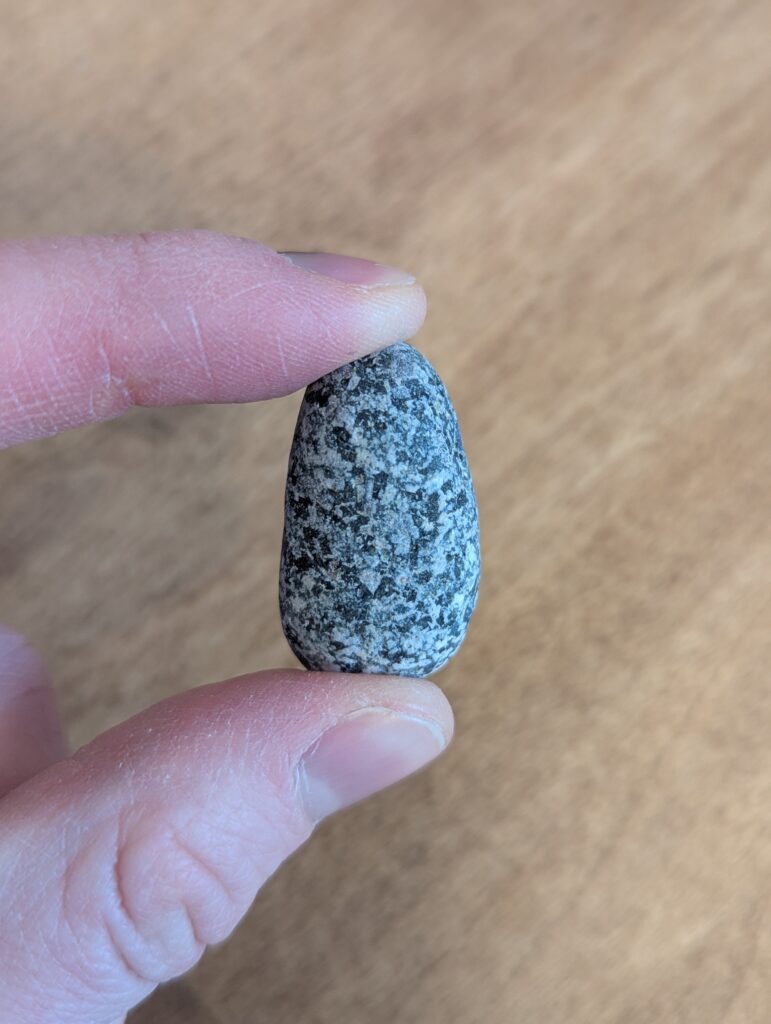 Home pxl 20260119 160245182.portrait (1)